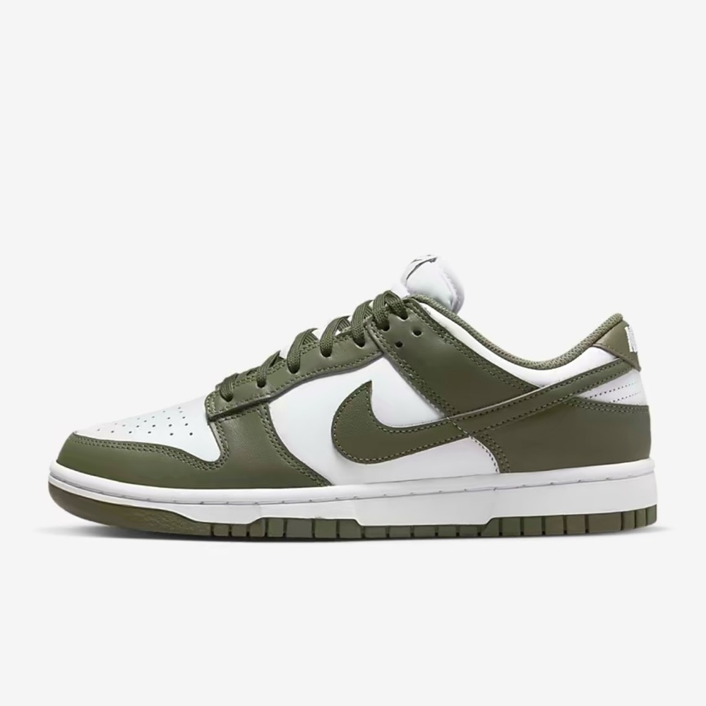 Brand new olive green lowtop dunks